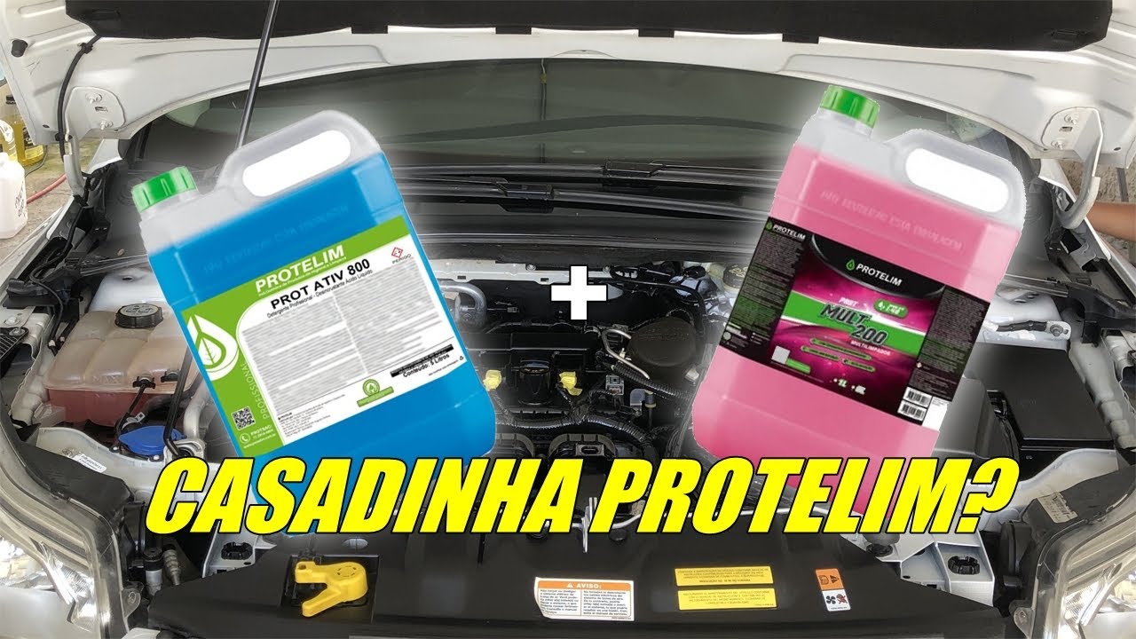 LIMPEZA DE MOTOR - Casadinha protelim 2 - Detalhmento automotivo