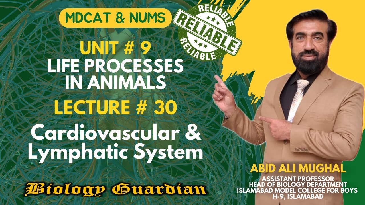 Lecture 30 MDCAT 2022 Biology Preparation Series Cardiovascular & Lymphatic System| Part-3 PMC/NUMS
