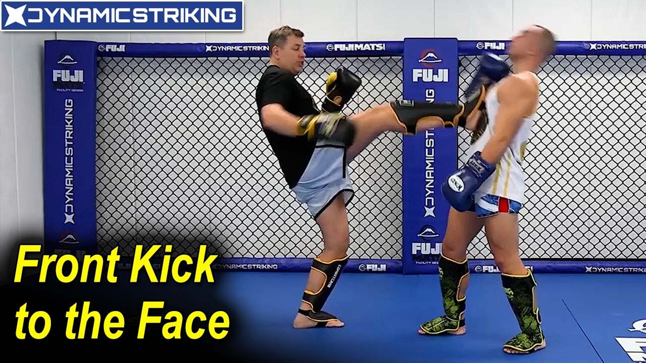 Front Kick to the Face by Duke Roufus