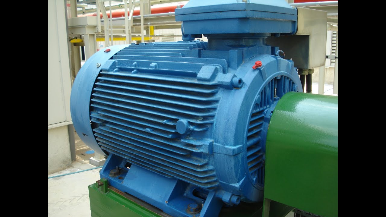 TestIM from Test Motors - EN - Electric Motors and Generators predictive maintenance