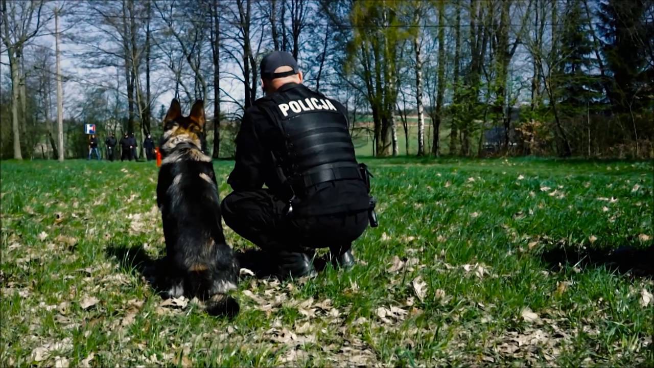 Policjanci z Warmii i Mazur