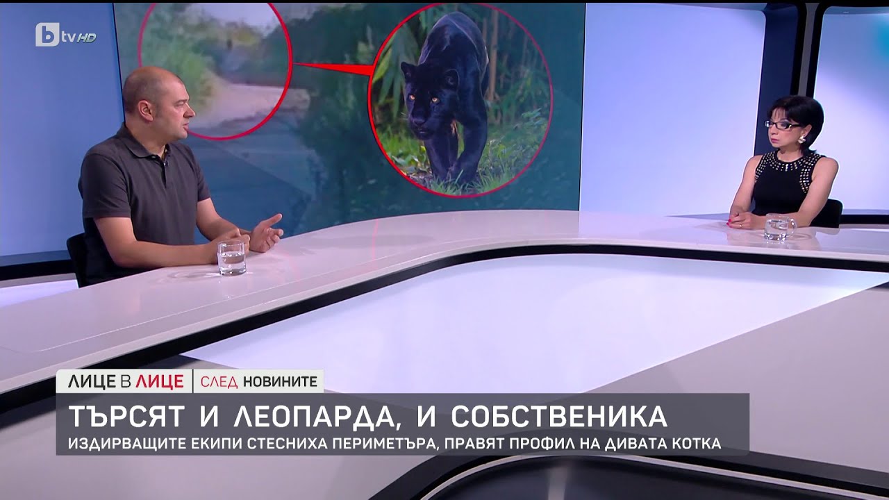 От къде се появи черният хищник?