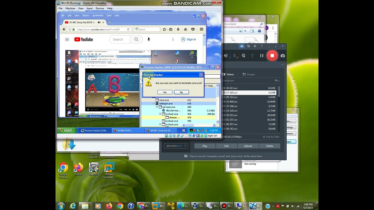 ABC song BSOD VM has BSOD