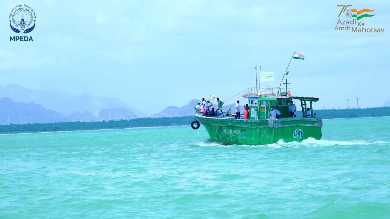 Responsible Fishing for Sustainable Future | Azadi Ka Amrit Mahotsav | MPEDA | NETFISH