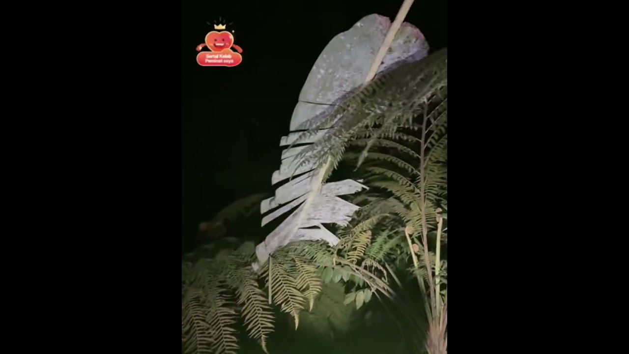 padu gila puaka bukit gasing part 1/3 paranormal loy ahmad