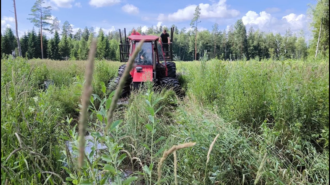 Homemade forwarder 15.07.2025