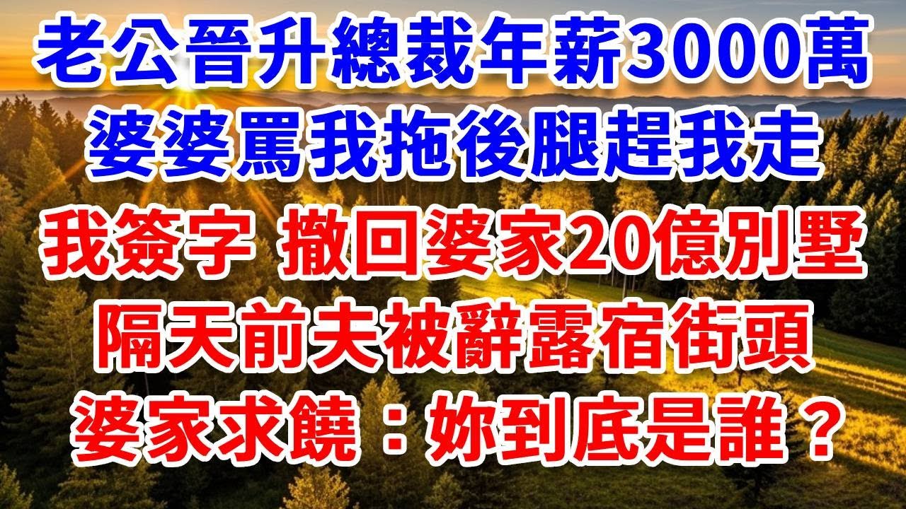 老公晉升總裁年薪3000萬，婆婆罵我拖後腿趕我走，我簽字 撤回婆家20億別墅，隔天前夫被辭露宿街頭，婆家求饒：妳到底是誰？#思妤說故事#為人處世#生活經驗#情感故事#晚年哲理#說故事#完結文#原創故事