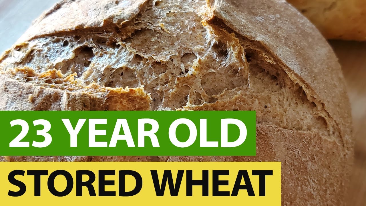 Baking BREAD From (23 Years) STORED Wheat!