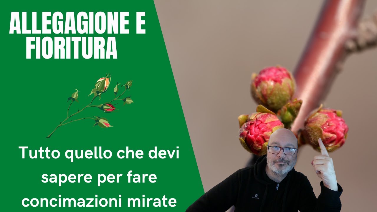 Allegagione e fioritura in frutta e ortaggi:  le concimazioni da fare per ottenere il massimo!