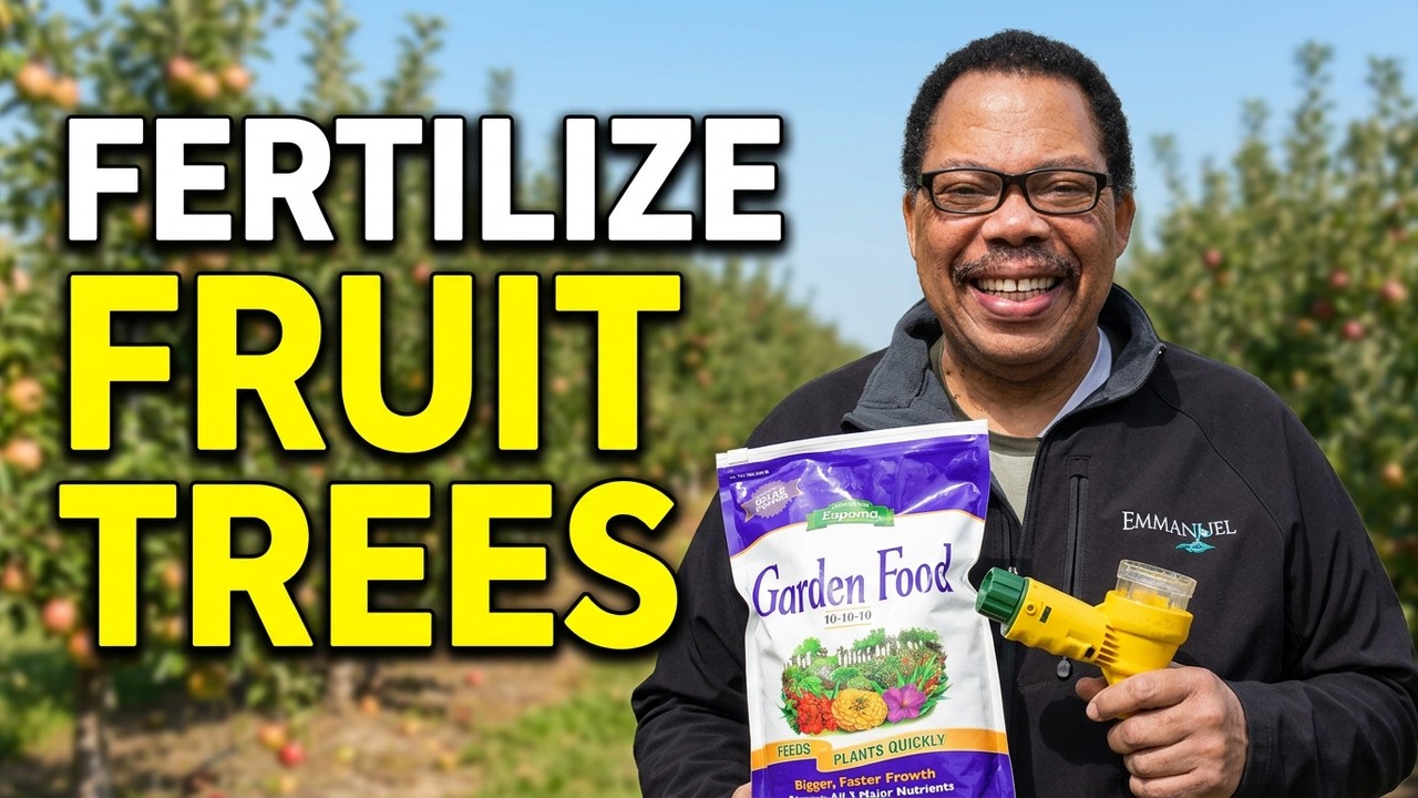 Fertilizing Fruit Trees