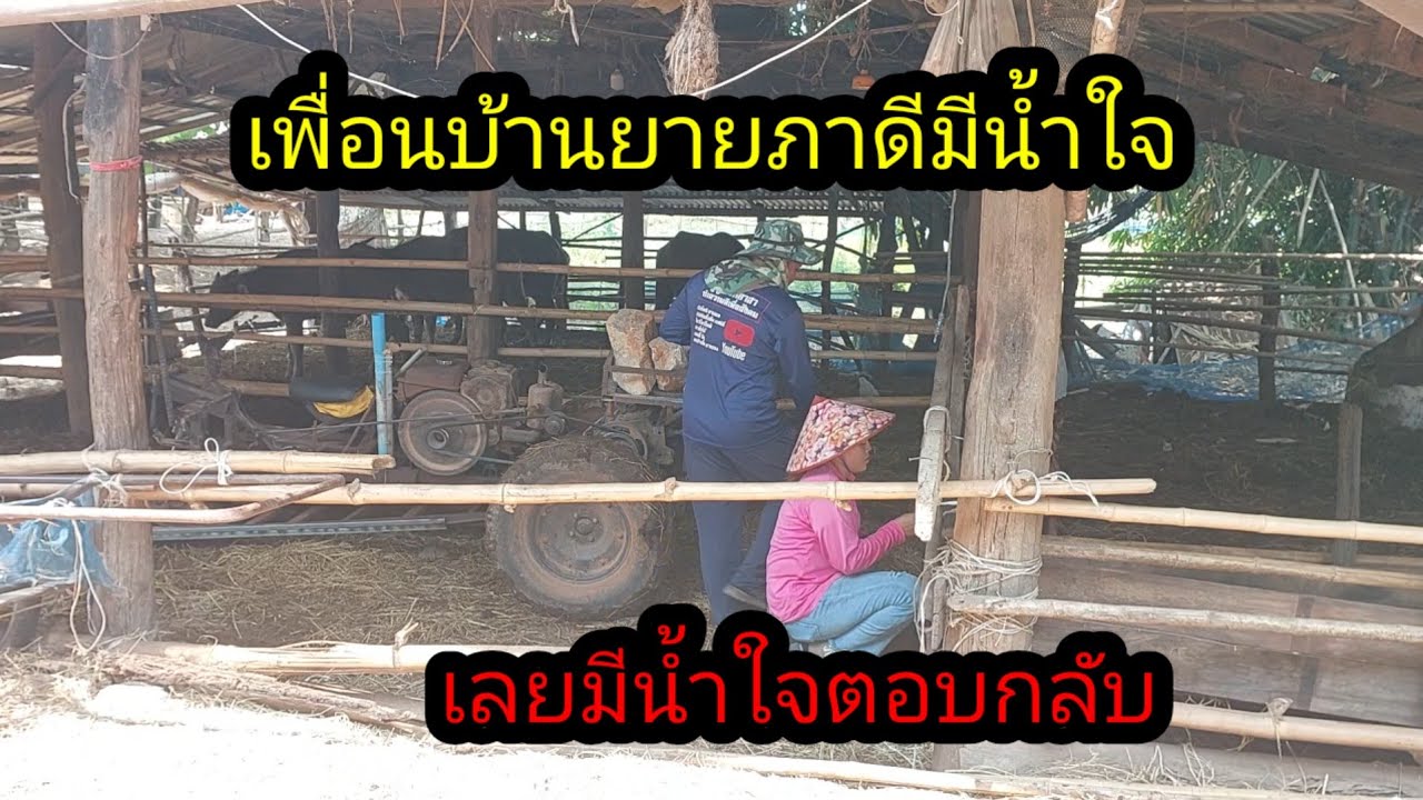 เพื่อนบ้านของยายพาดีมีน้ำใจเลยมีน้ำใจตอบกลับ#จิตอาสา 