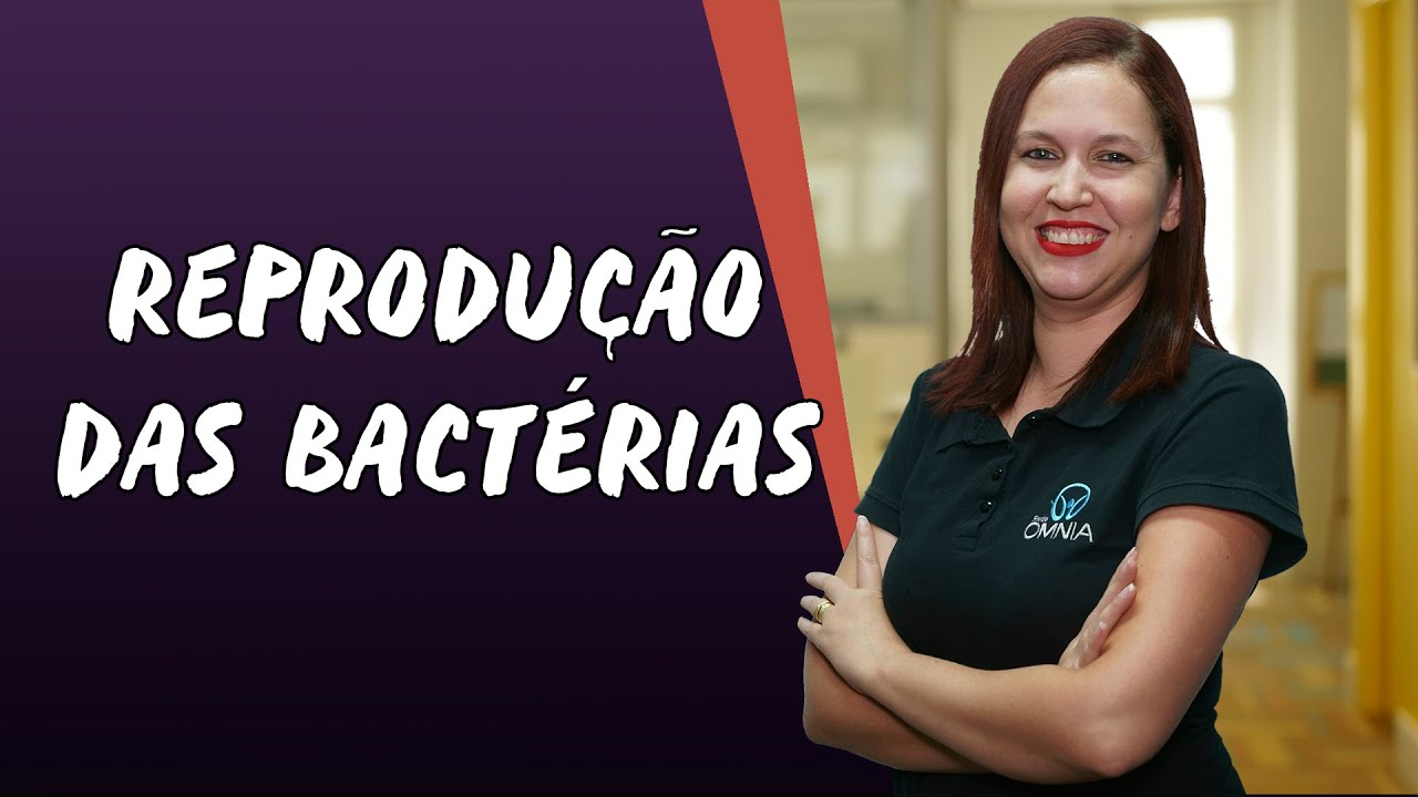Reprodu&ccedil;&atilde;o das Bact&eacute;rias - Brasil Escola