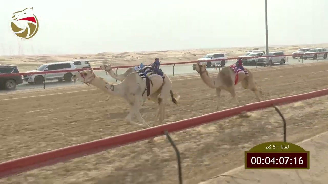 سباق اللقايا – سيف العرب 02-03-2026 ش20 هياض لـ عمر خليفه علي سالم الحكماني  7:24