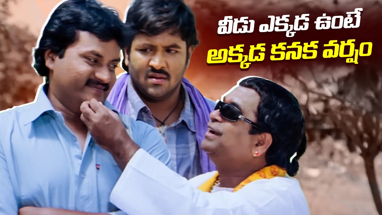 వీడిది యోగ జాతకం..వీడు ఎక్కడ ఉంటే అక్కడ కనక వర్షం! | Sunil & Brahmanandam Comedy Scene