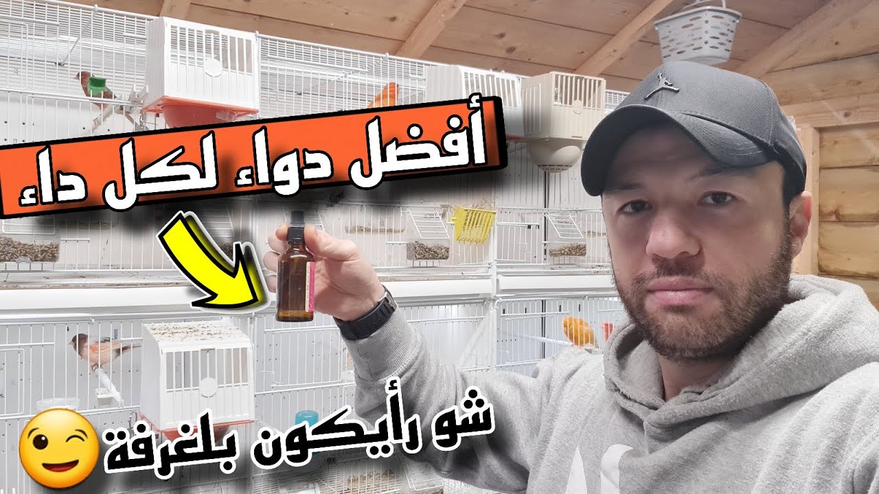 عالج طيورك ب 5 أيام فقط دواء لكل داء & جولة في غرفة طيوري  تجهيز العصافير لموسم 2026#birds 
