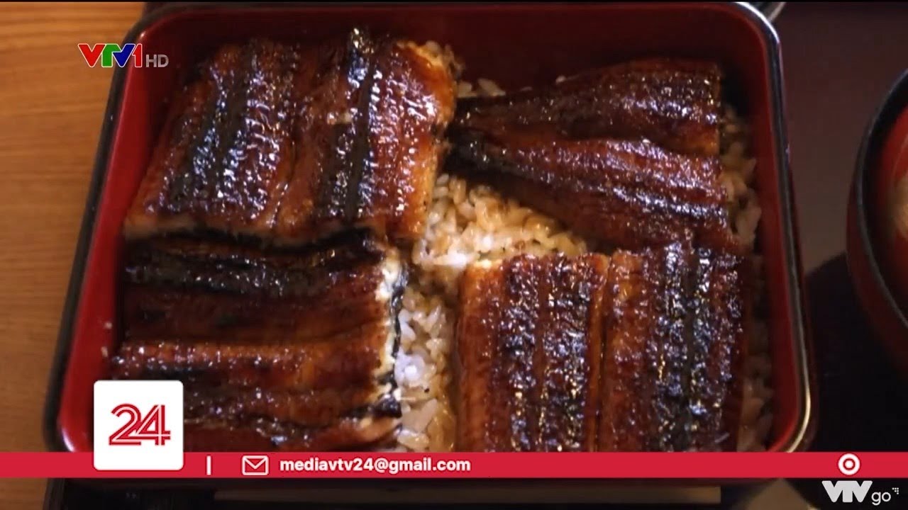 Niềm đam m&ecirc; lươn của người Nhật Bản | VTV24