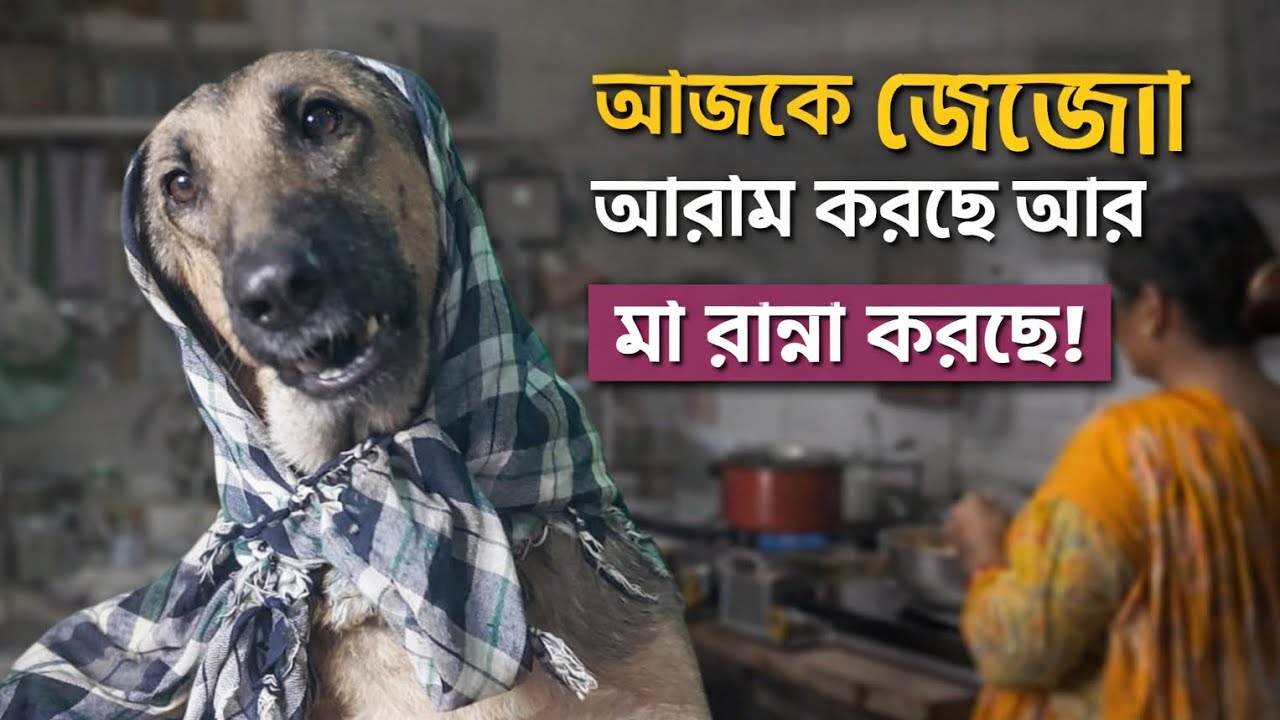🤯 জোজো শুধু আরাম করছে… আর মা করছে সব কাজ! দেখো কি হলো শেষে 😂
