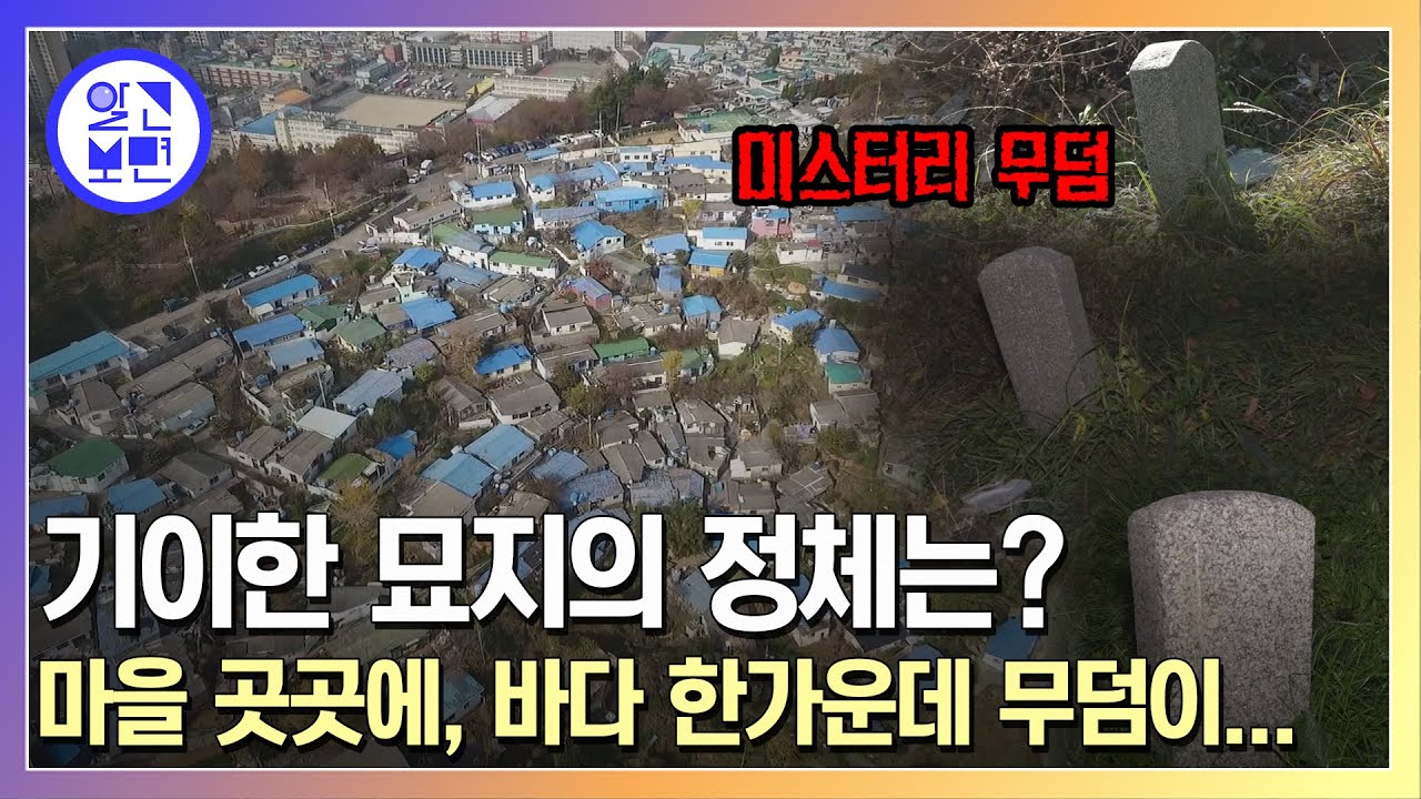 미스터리묘지 베스트/1.바다 한가운데 위태로운 무덤  2.부산 '돌산마을' 무덤집단