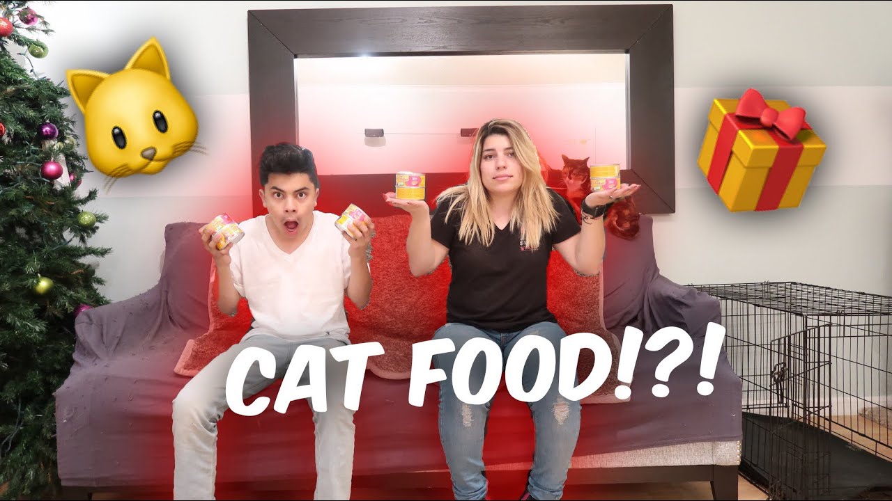 WE GOT CAT FOOD FOR CHRISTMAS!?! (Dobre Merch Giveaway)