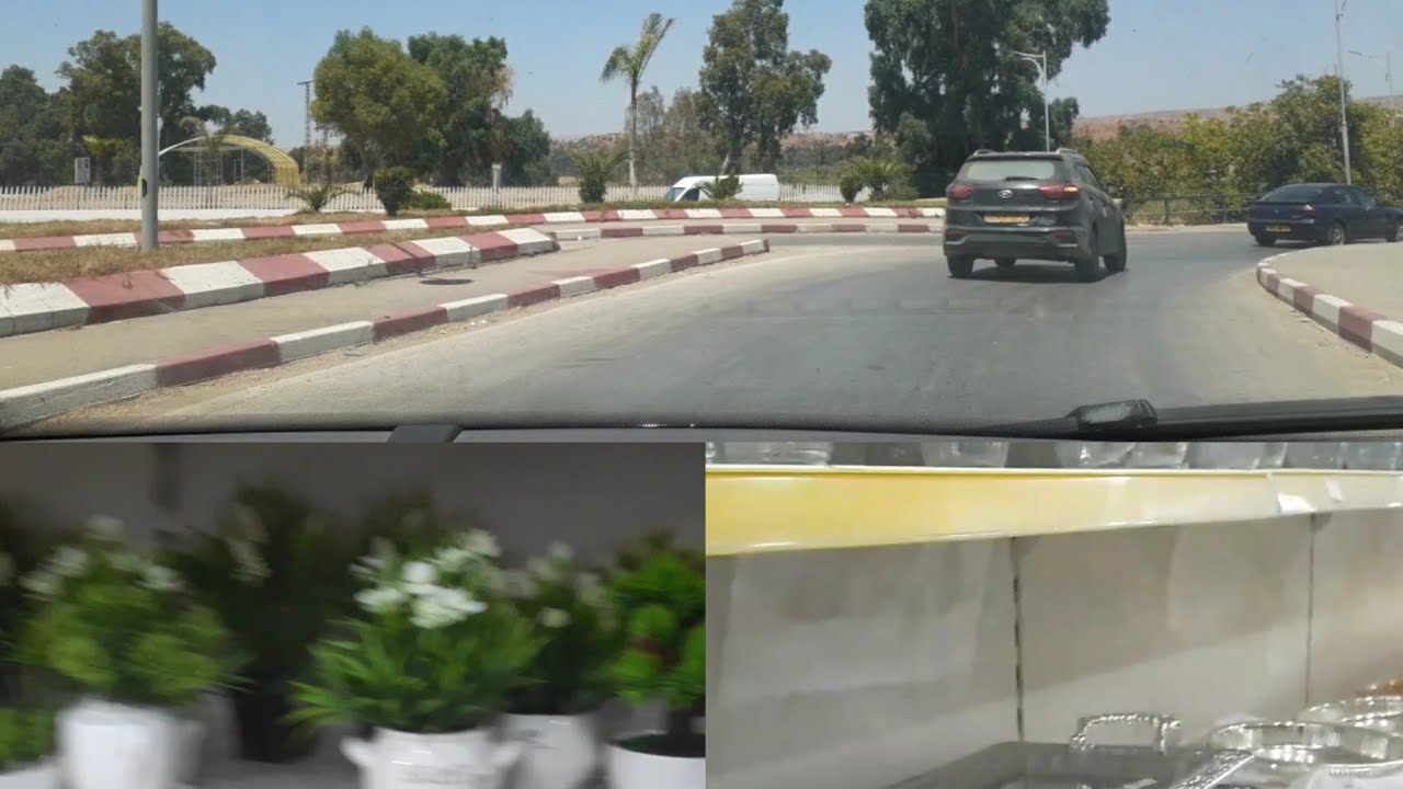 جولة في سوق الفلاح🛒 الفيرم (الشلف )🇩🇿|مشاهدة ممتعة😍