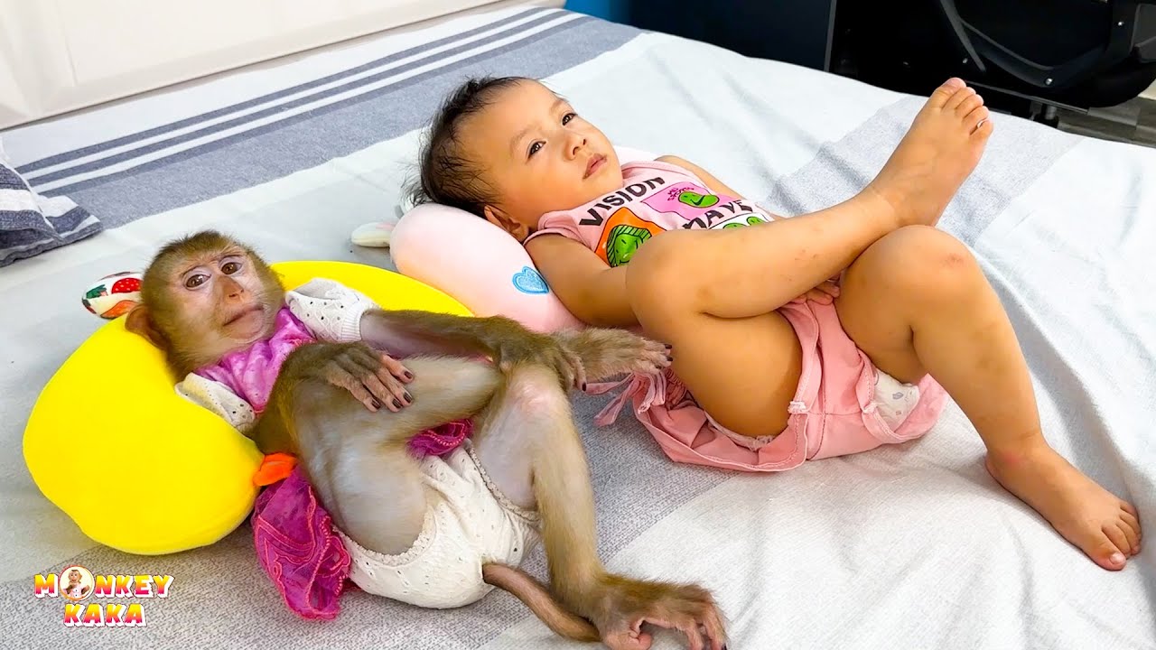 Top Super HOT All Video of Cute and intelligent Monkey KaKa and Diem