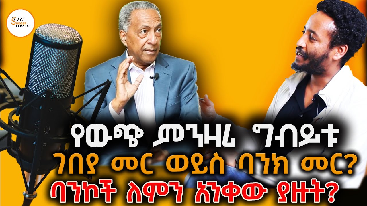 ባንኮች እንደ ነጋዴው ሁሉ የውጭ ምንዛሬውን ለምን አንቀው ያዙት?ከአቶ ዘመዴነህ  ንጋቱ ጋር የተደረገ ቃለምልልስ Zemedeneh Negatu Interview