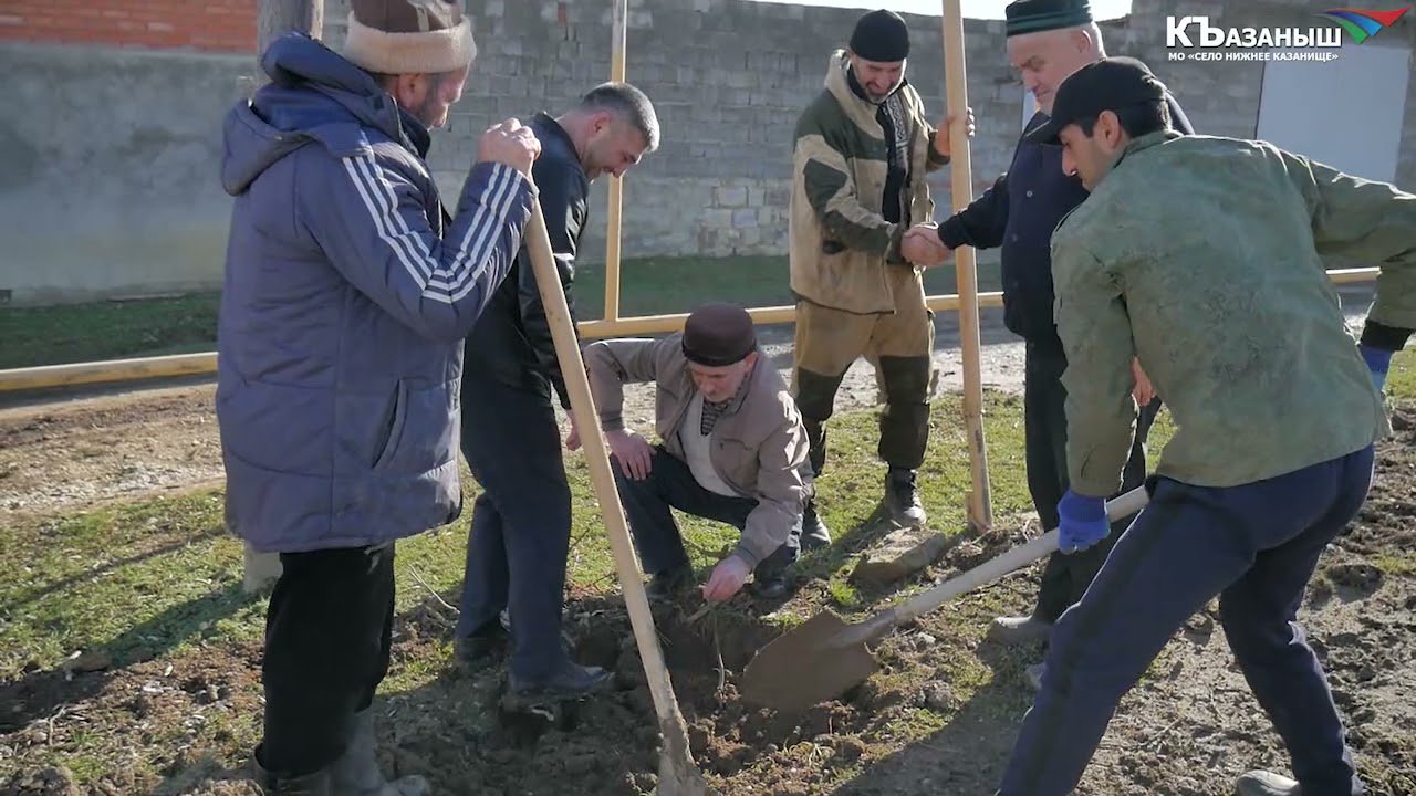 Посадка деревьев. Нижнее Казанище