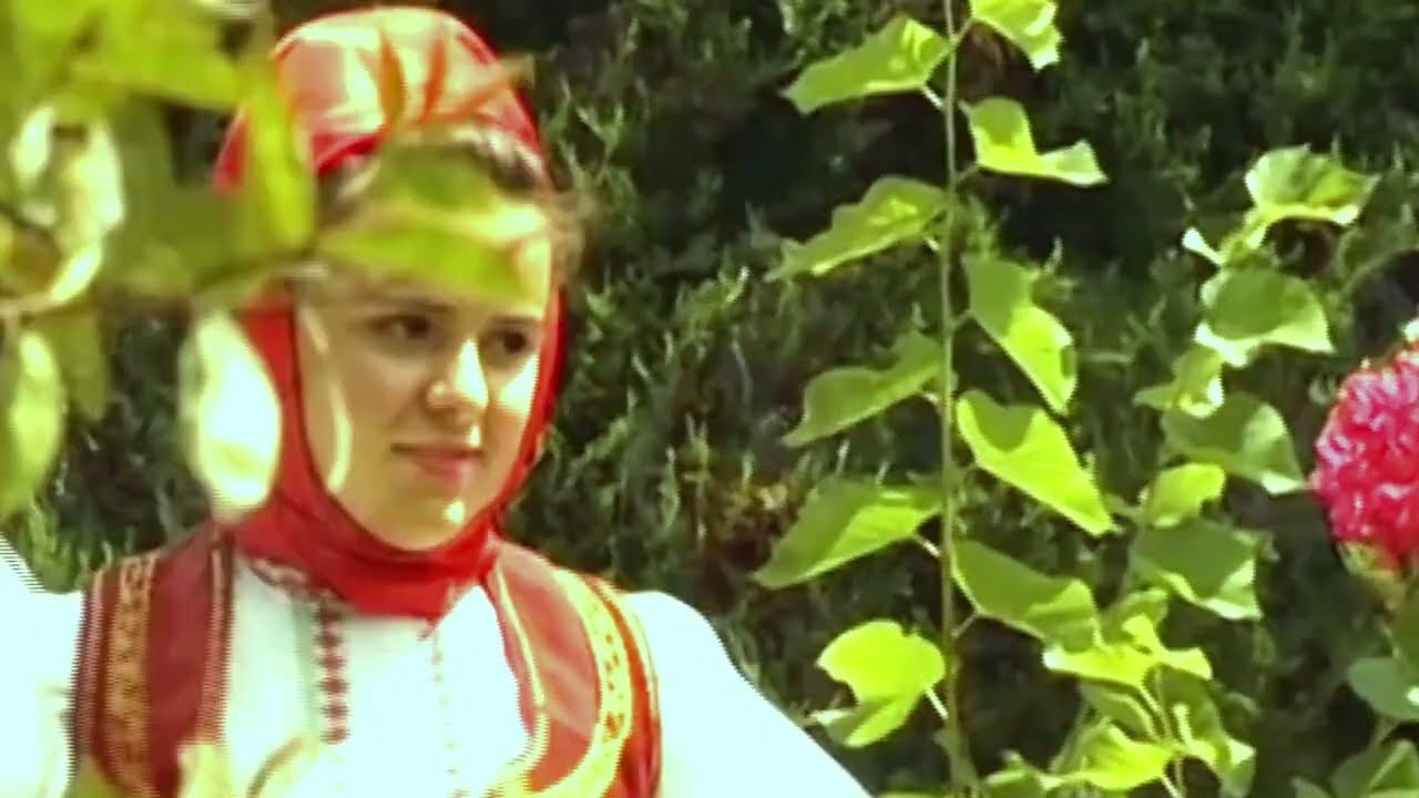 Arif Madana  Saje  Poleshi   oj ti cuco