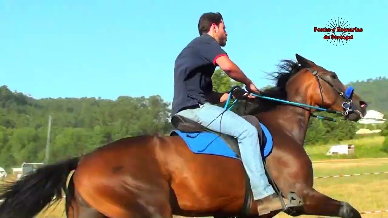 Corrida de Cavalos a passo travado em Jugueiros Felgueiras 2022