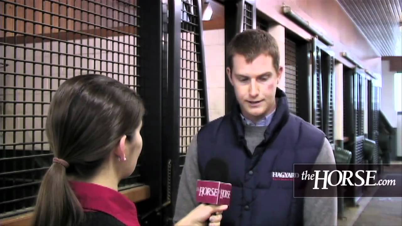 Annual Vaccinations for Horses