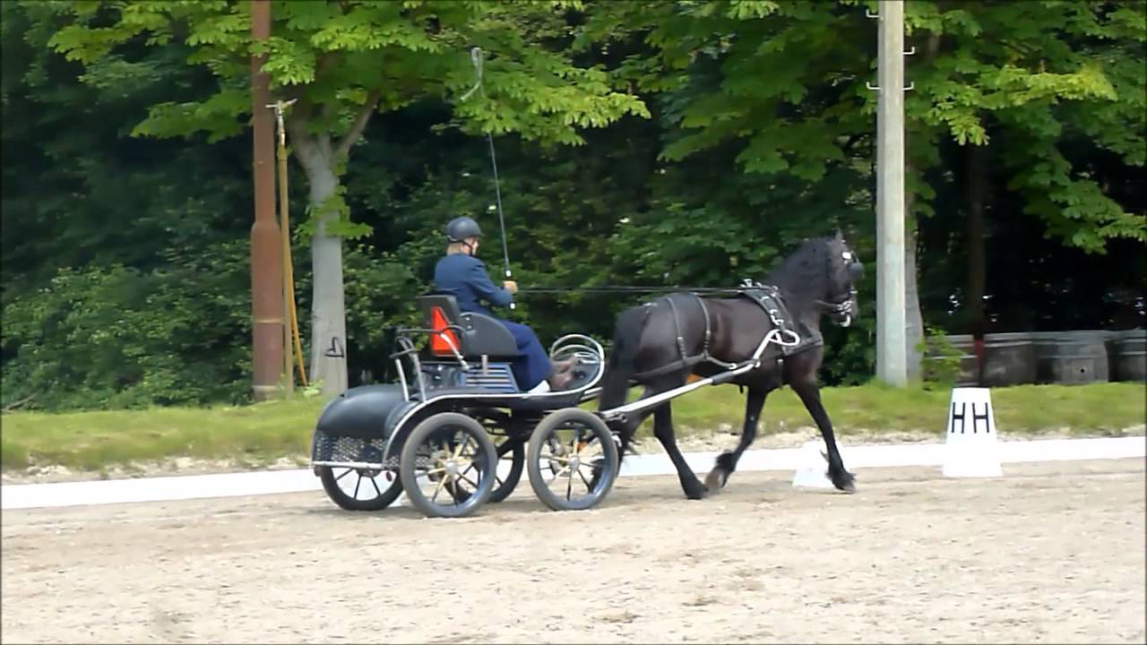 Kür op muziek mennen - Gerrie Schalkwijk