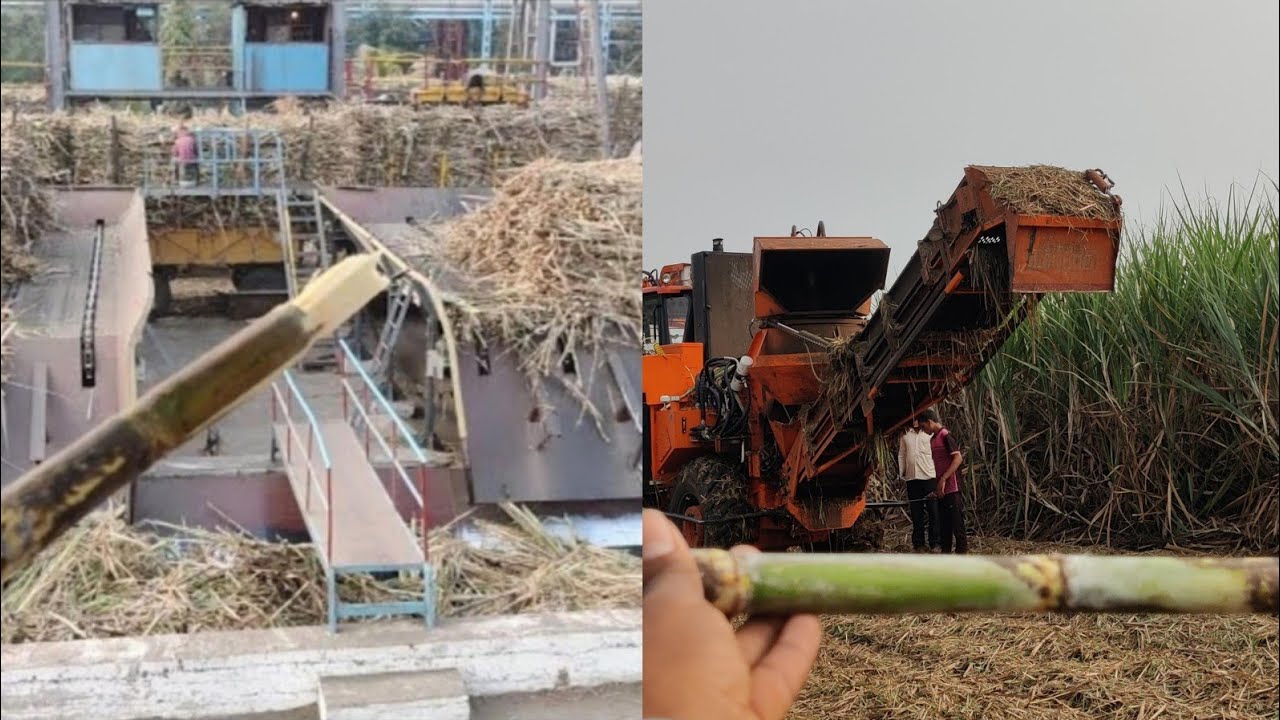 sugar factory video - sugar making video & sugar processing full video