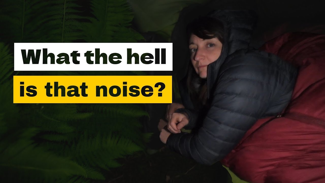 Camping ALONE in the Jungle - my biggest fear came true! 🤯