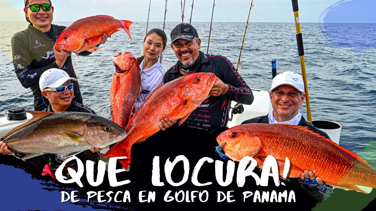 Pargo de Seda y Dorados locos | Pesca en el Golfo de Panamá