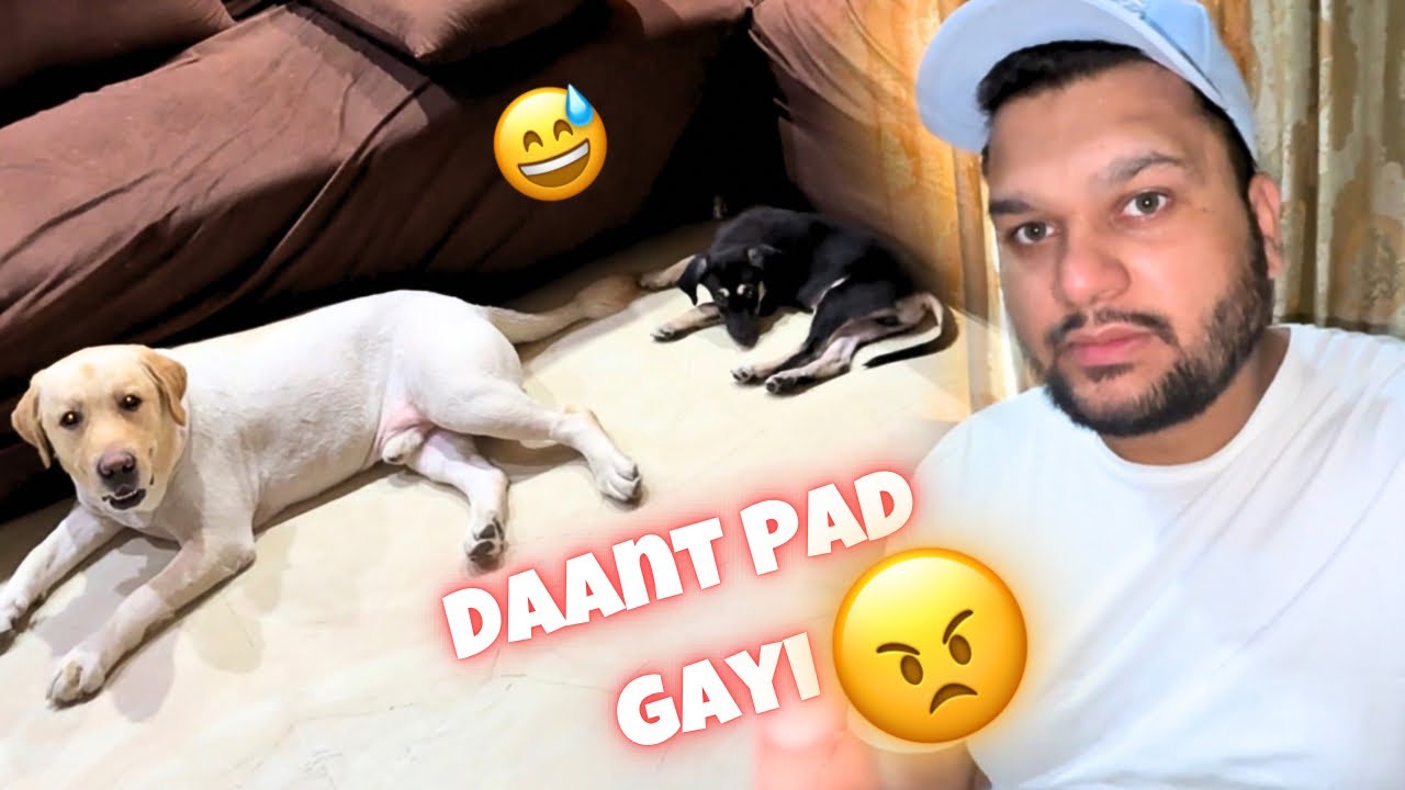 Aaj Dono Ko Pad Gayi Daant 😠#vlog