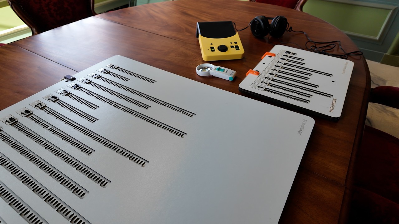 Dankzij stemmal kan iedereen komen stemmen in Harlingen