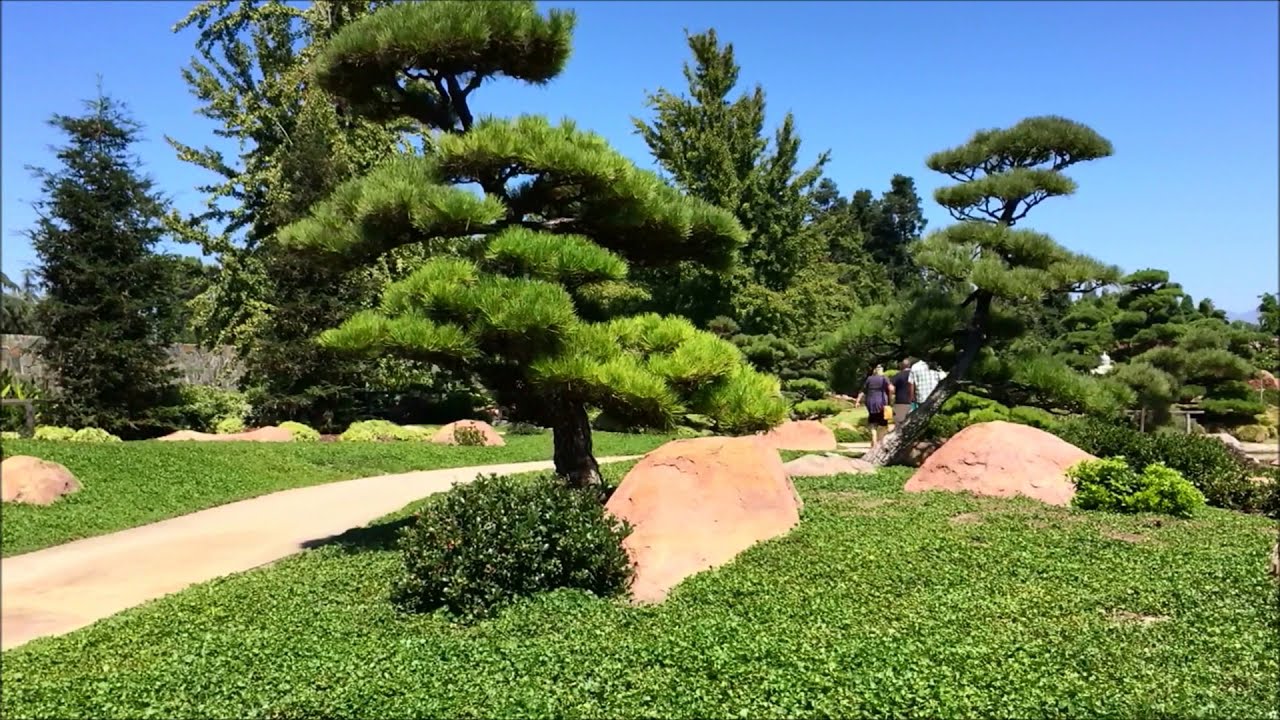 Japanese Garden, Van Nuys, Los Angeles - California - USA #shorts #youtubeshorts #viralvideo