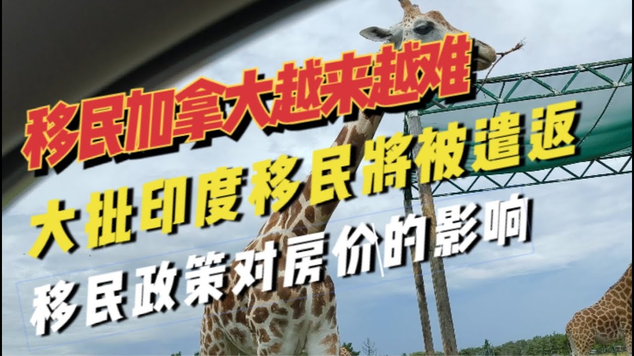 移民加拿大越来越难，大批印度移民即将被遣返。移民政策对房价的影响。崩溃的加拿大移民系统即伤害本地人又伤害新移民