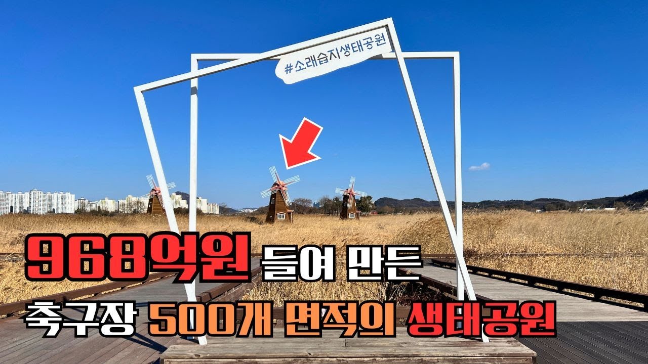 인천 소래습지생태공원 | 영하 날씨에 갔다가 후회한😱 갈대밭 풍차 명소 🌾| 폐염전 → 서해 일출 1순위공원 | 대중교통 당일치기 여행 | 주말 나들이 #인천여행 #소래포구