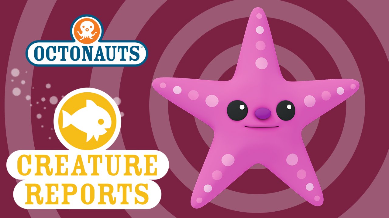 Octonauts: Creature Reports - Sea Star