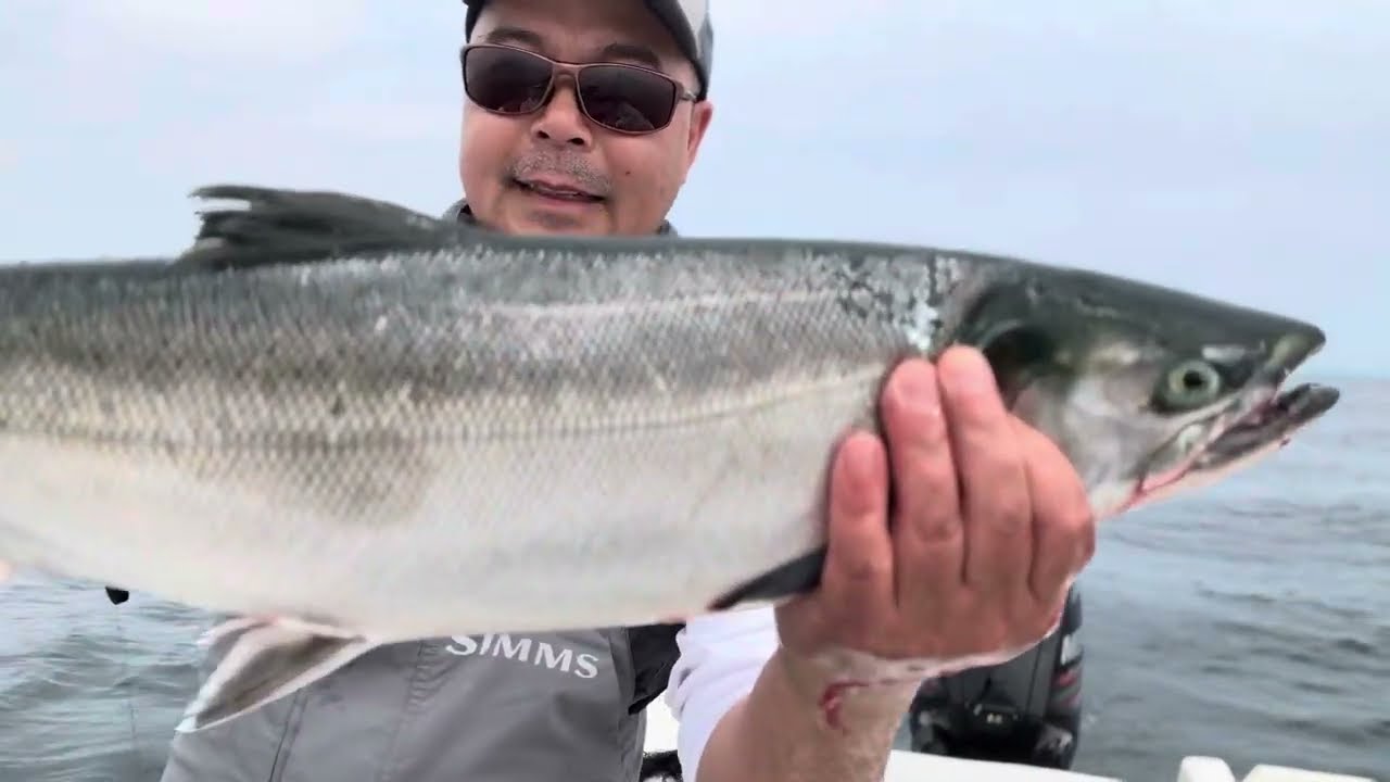 Puget sound salmon fishing