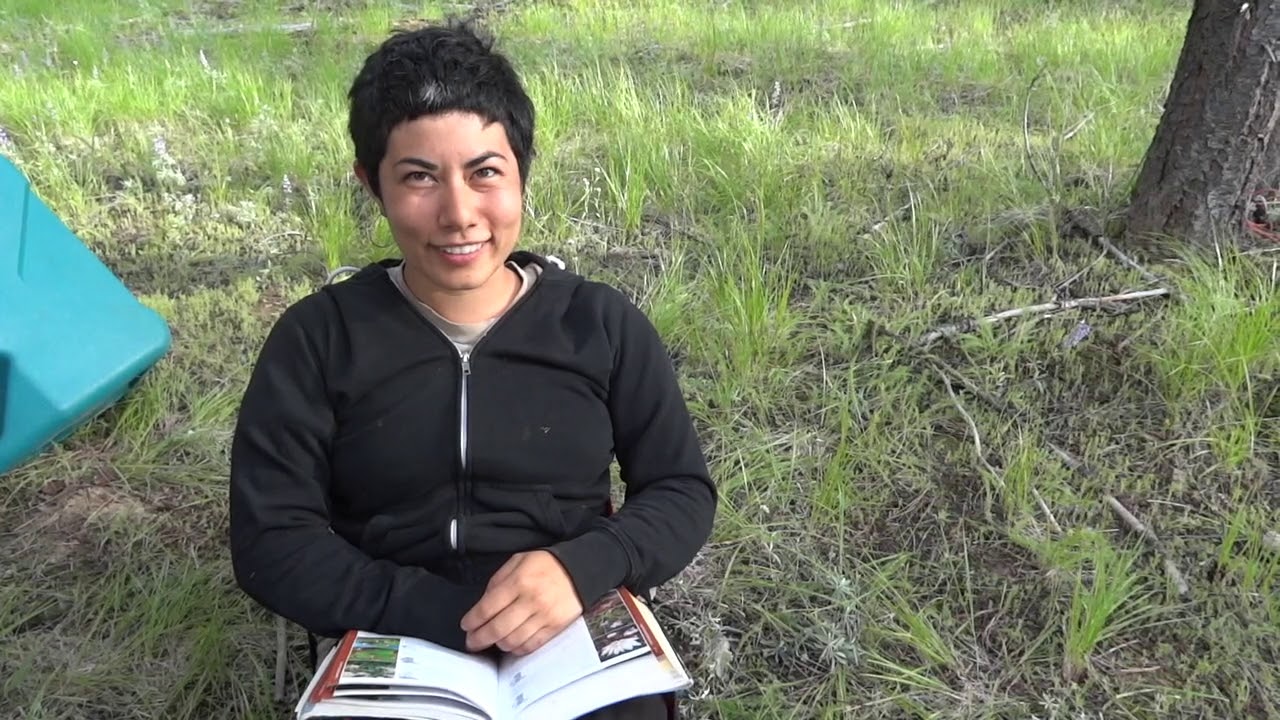 Blue Mountains Biodiversity Project: Forest defense through citizen field surveys