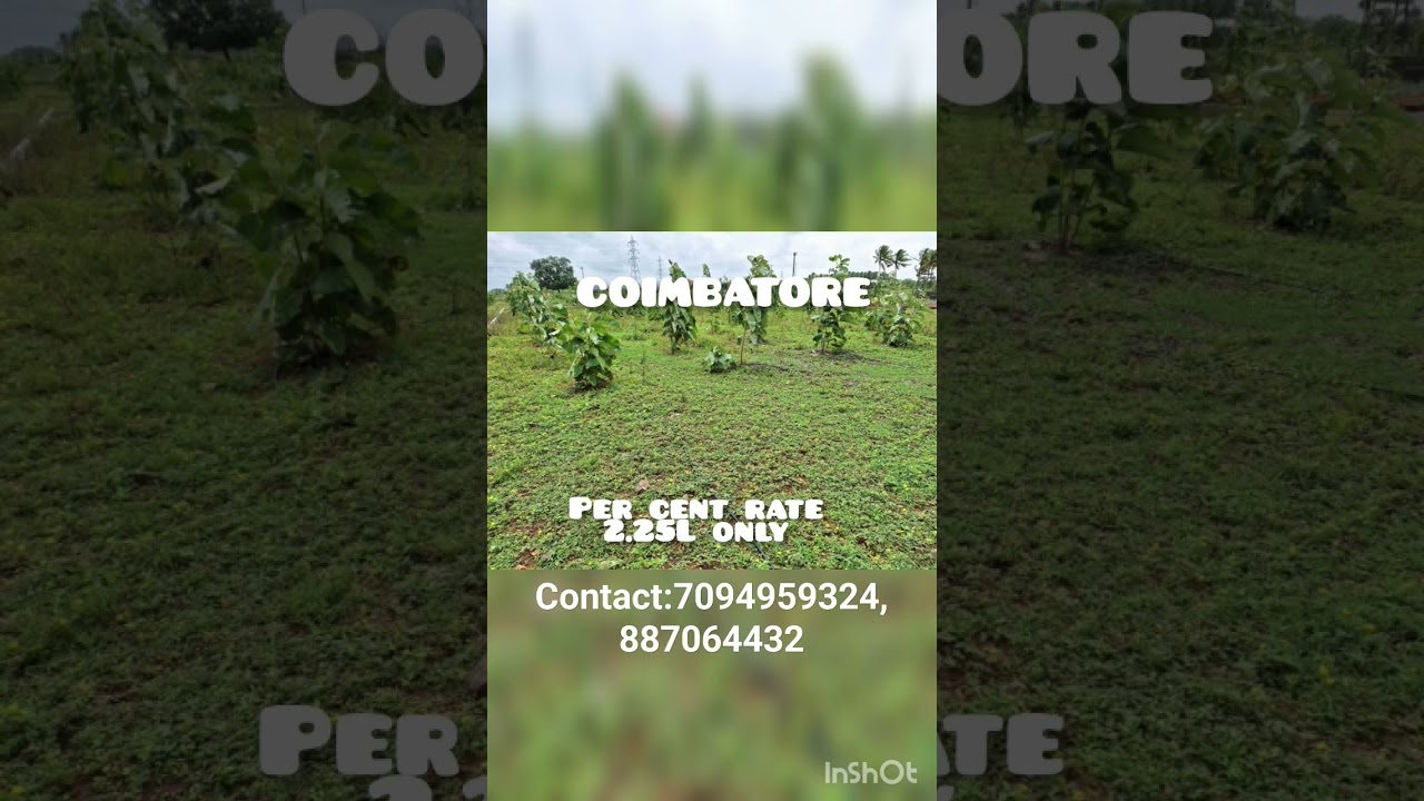 LOW BUDGET TEAK FARM LAND 