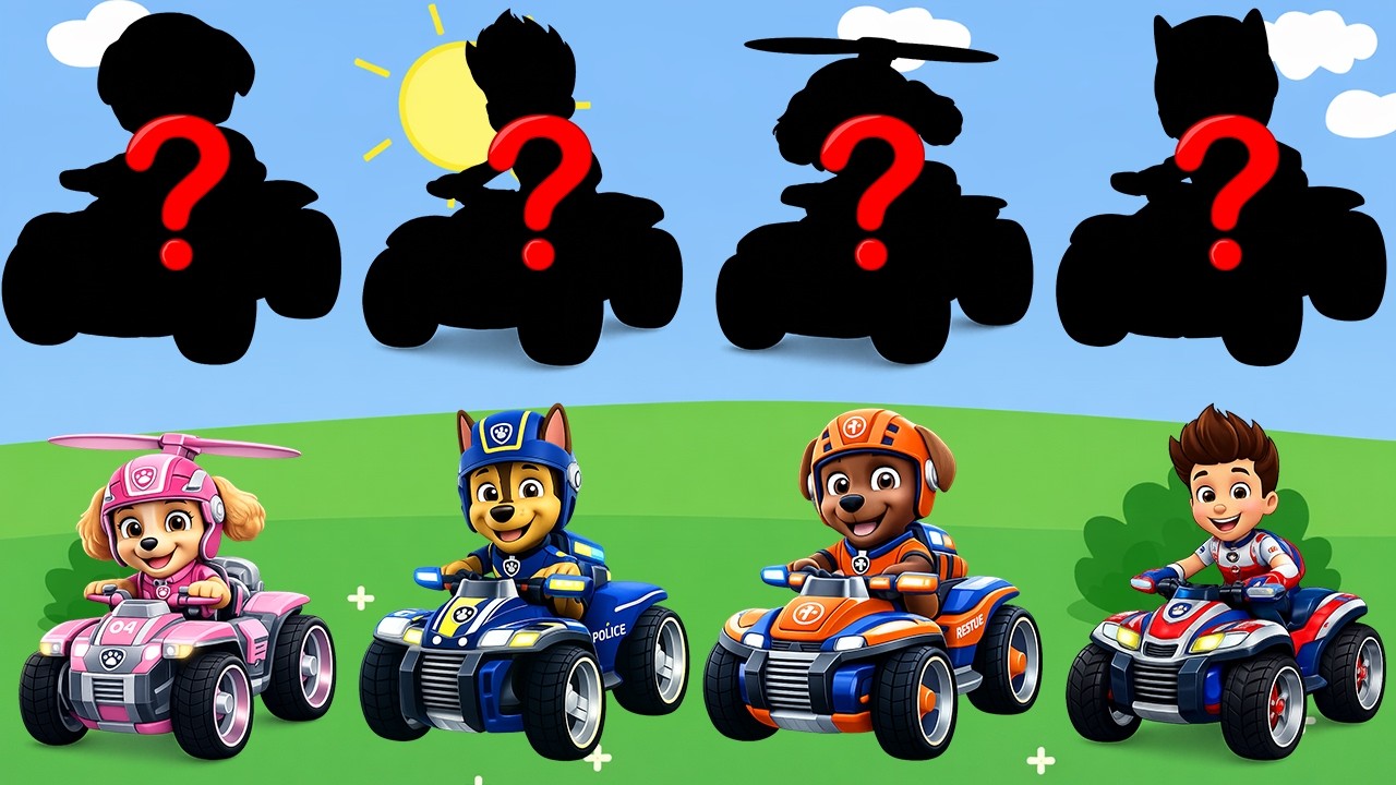 Paw Patrol and Friends Learn Kids Useful Stories for Kids Cartoon Paw Patrol | New Bonus Episodes