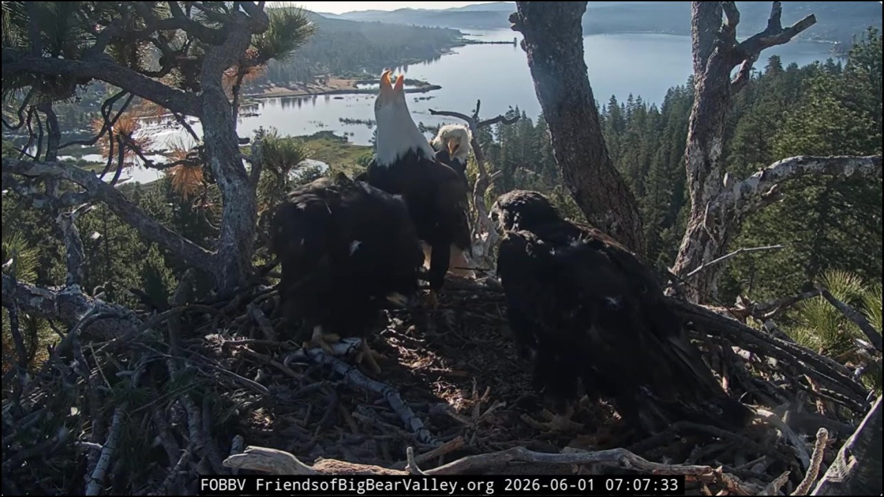 6-1-2026 Watching Them Grow