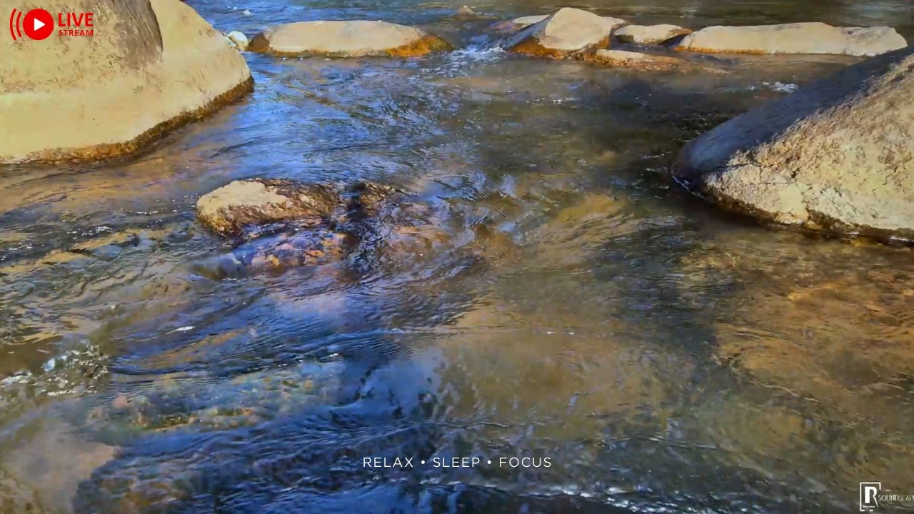 Flowing River Sounds 🌊 Nature Therapy for Deep Relaxation