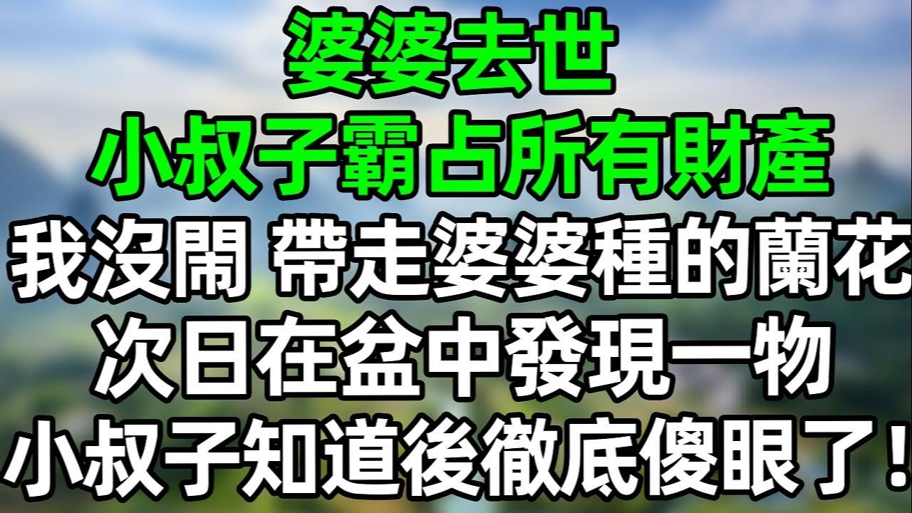 婆婆去世，小叔子霸占所有财产！我没闹 带走婆婆最爱的兰花，次日在盆中发现一物，小叔子知道后彻底傻眼了！#夜讀人生 #講故事  #幸福生活 #深夜淺讀 #深夜故事 #婆媳 #情感故事
