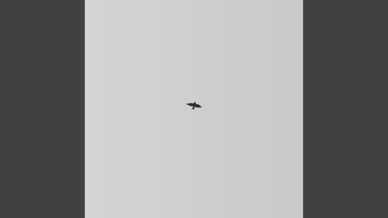 Return
