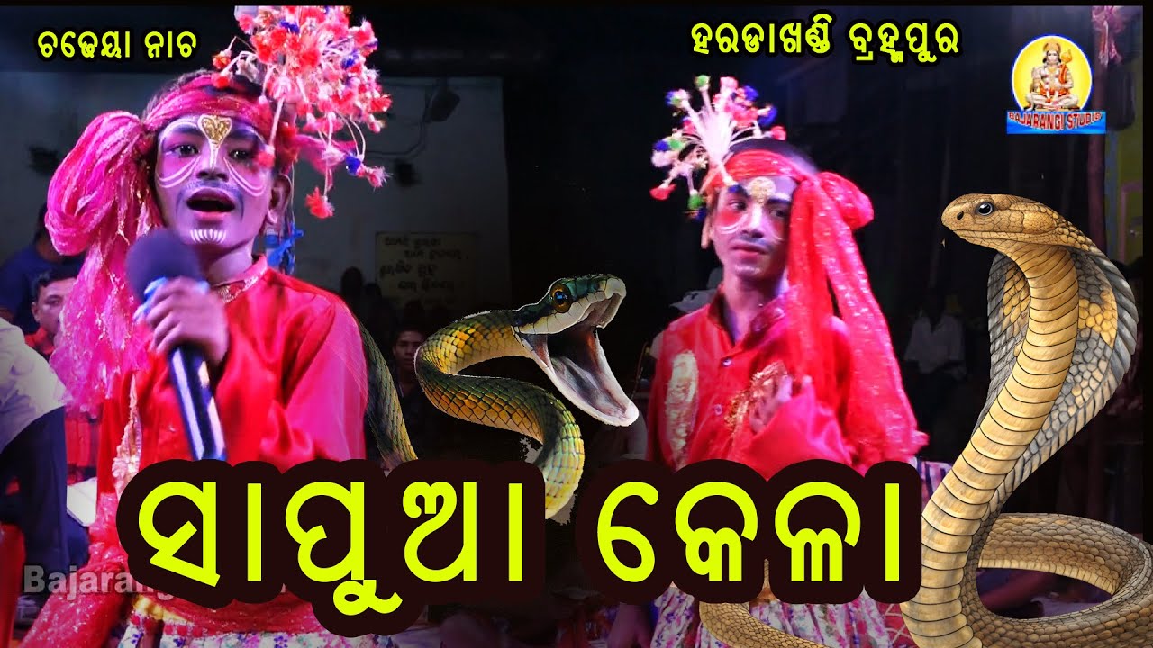 ସାପୁଆ କେଳା || Sapua kela Dandanacha ||Haradakhandi Chadheyachadheyanisuanga @BajarangiStudioMusic
