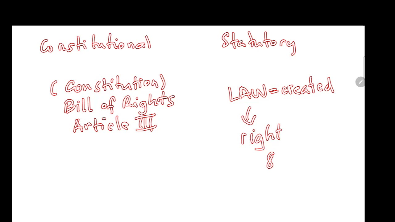 Constitutional and Statutory Rights